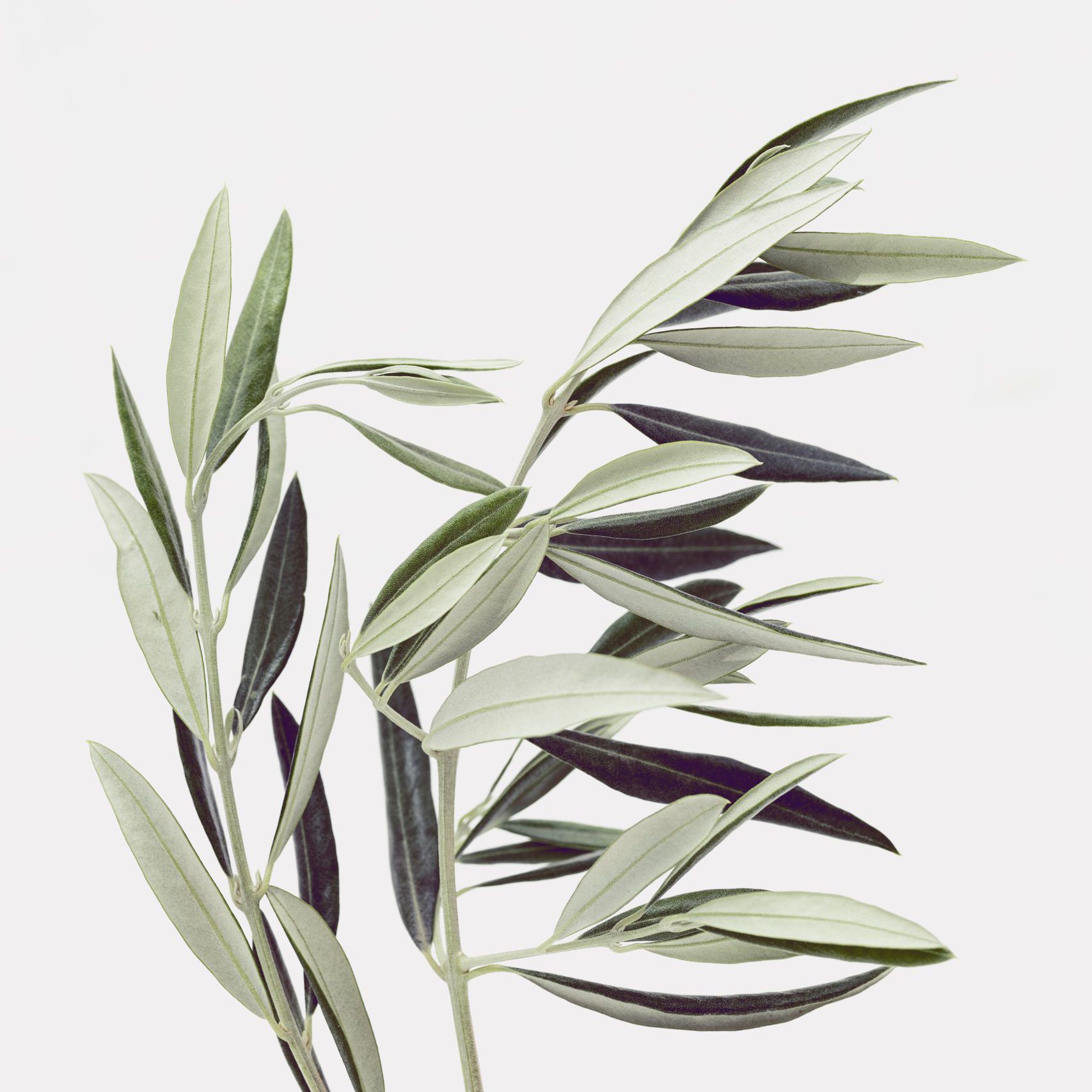 arvydas-baltinas-DP24UaGYzx0-unsplash